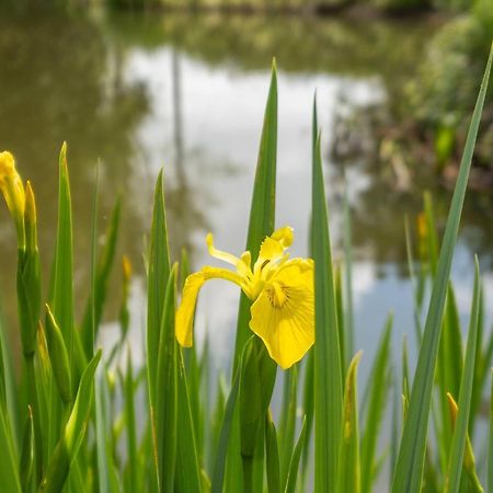 East Green Farm Cottages - The Granary Saxmundham Exteriér fotografie